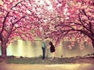 Девушка Весна любовь, парочка, поцелуй, ветви, цветение, деревья обои рабочий стол