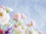 Девушка Весна цветы, белые, розовые, небо обои рабочий стол