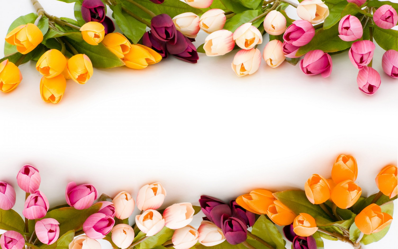 Природа, пейзаж Весна тюльпаны. цветы, цветок красивые обои рабочий стол
