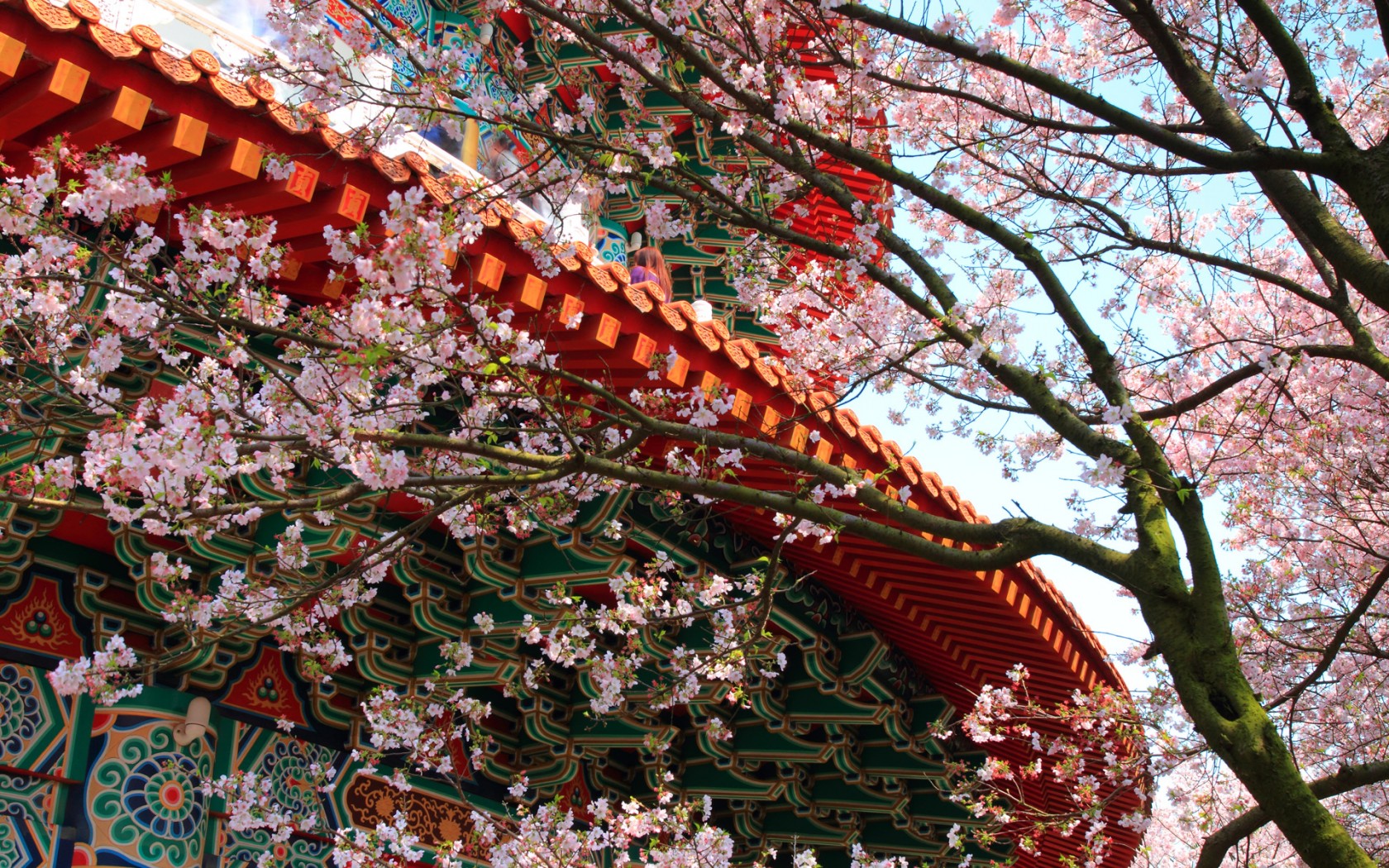 Природа, пейзаж Весна здание, храм, узоры, сакура, дерево, цветы красивые обои рабочий стол