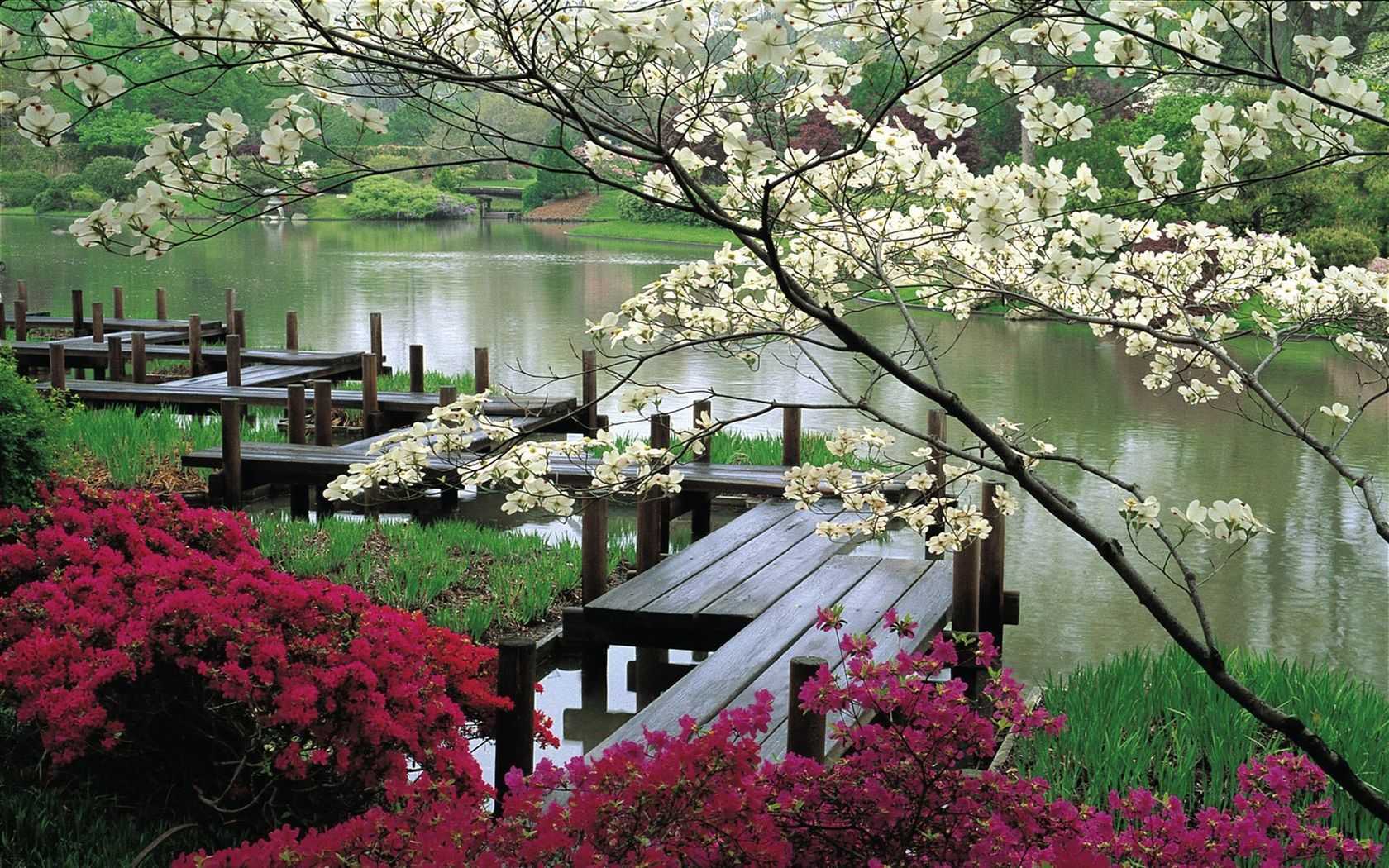 Природа, пейзаж Весна сад, Япония, цветение, мостик, пруд, красота красивые обои рабочий стол