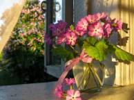 Девушка Лето окно, занавеска, ваза, цветы обои рабочий стол