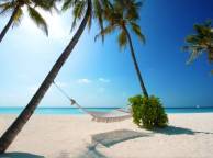 Девушка Лето пальмы, пляж, море, гамак, отдых обои рабочий стол