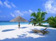Девушка Лето пальмы, песок, пляж, багамы, навес обои рабочий стол