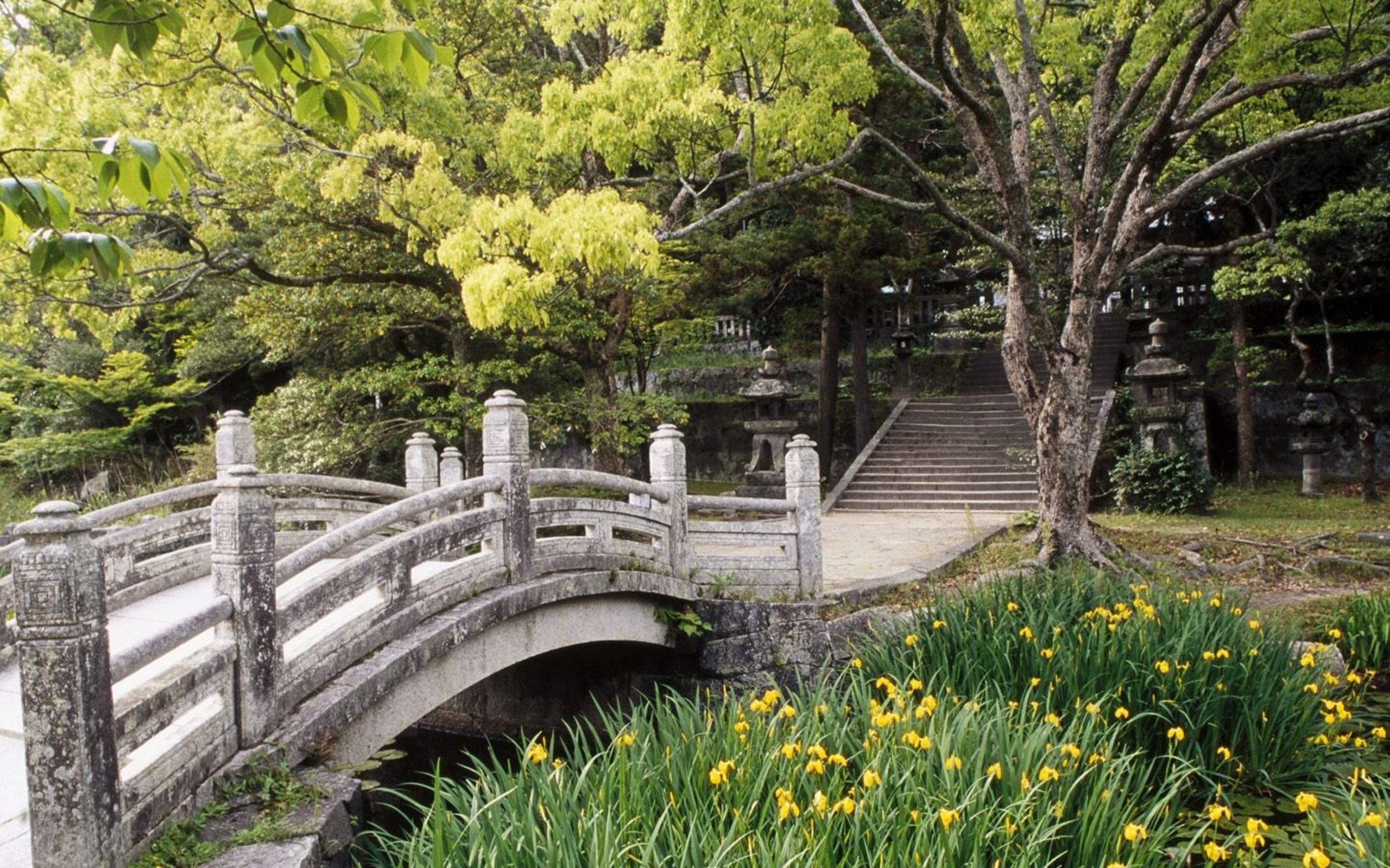 Природа, пейзаж Лето япония, мост, цветы красивые обои рабочий стол