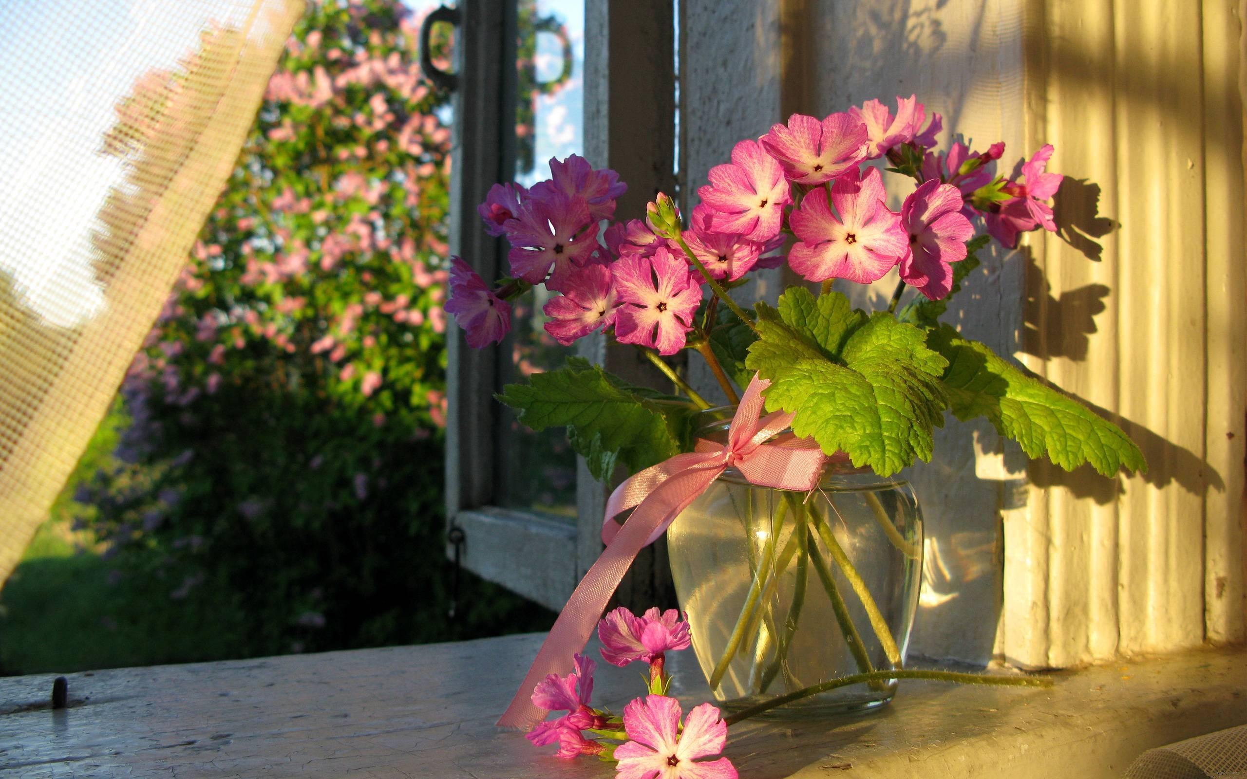 Природа, пейзаж Лето окно, занавеска, ваза, цветы красивые обои рабочий стол