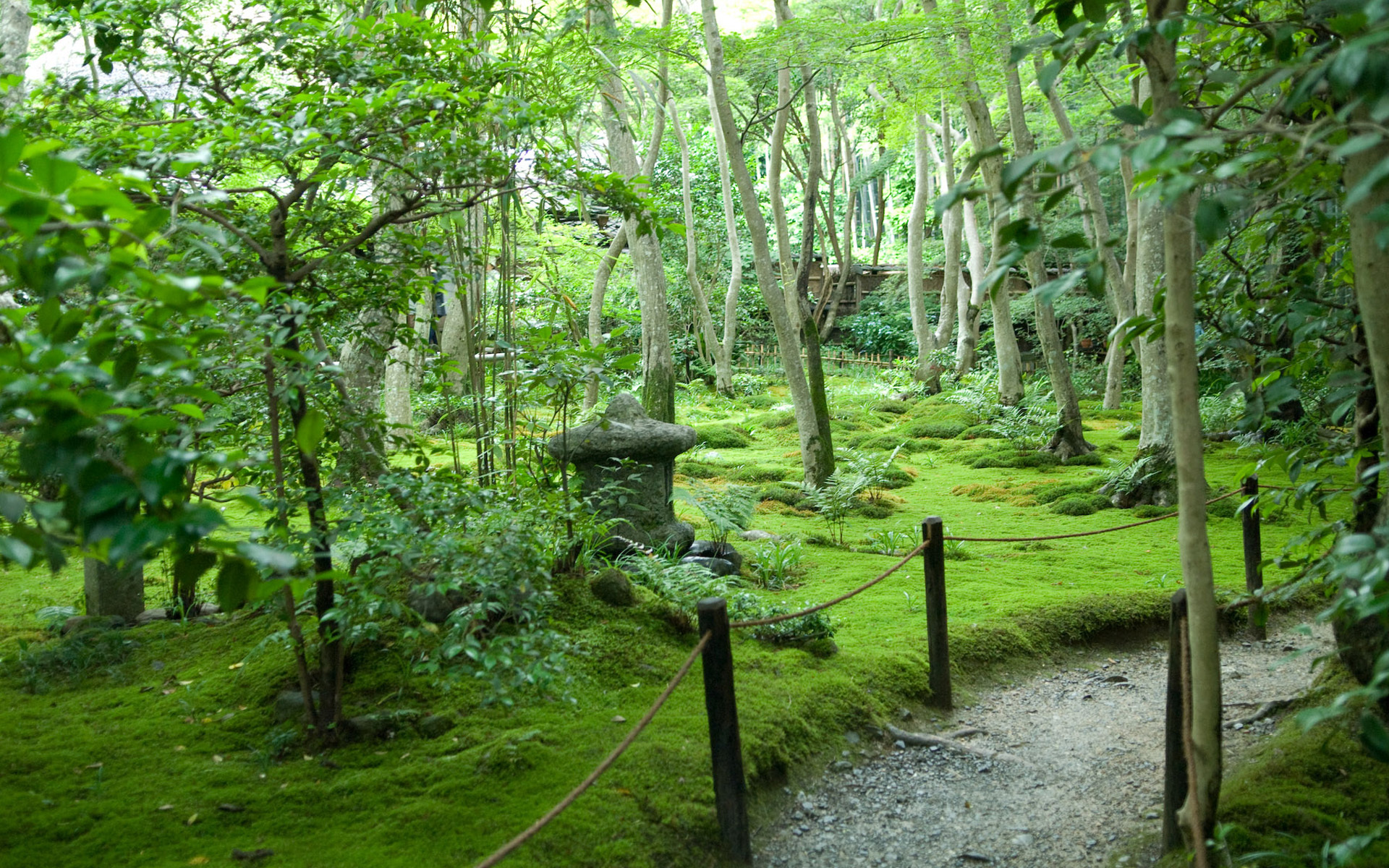 Природа, пейзаж Лето япония, сад, тропинка,  деревья красивые обои рабочий стол