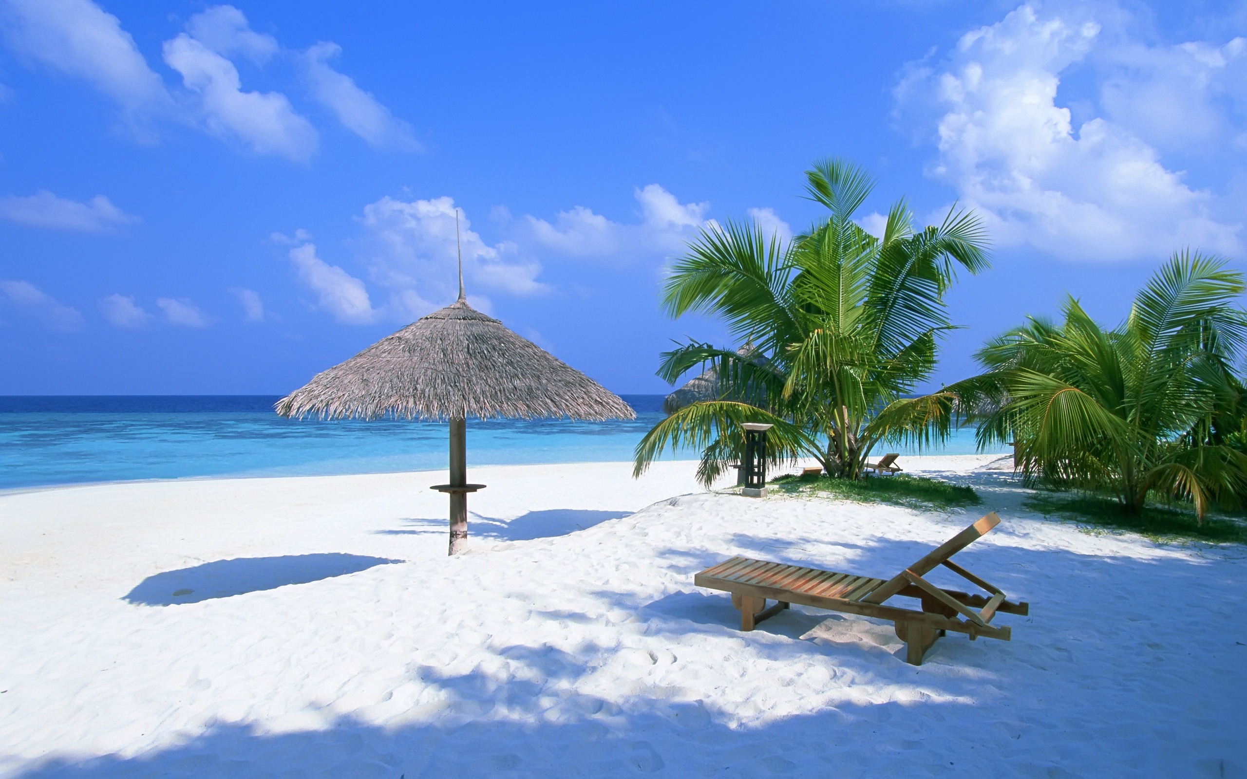 Природа, пейзаж Лето пальмы, песок, пляж, багамы, навес красивые обои рабочий стол