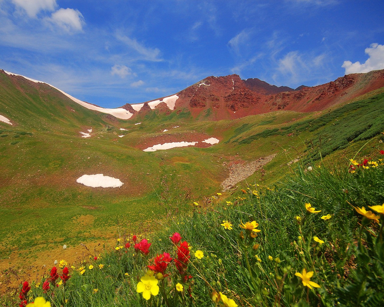 Природа, пейзаж Лето горы, цветы, трава красивые обои рабочий стол
