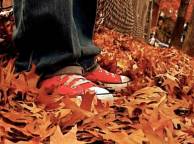 Девушка Осень листья, кеды обои рабочий стол