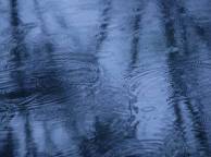 Девушка Осень дождь, лужа, отражение, вода обои рабочий стол