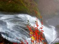 Девушка Осень водопад, река,  листья обои рабочий стол