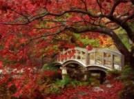 Девушка Осень япония, сад, листья обои рабочий стол