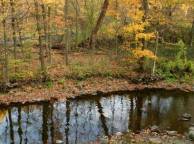 Девушка Осень ручей, лес, камни обои рабочий стол