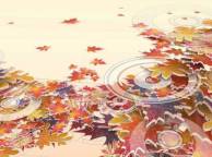 Девушка Осень листья, круги обои рабочий стол