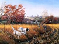 Девушка Осень поле, утки, охотничьи собаки, собака, собака для обои рабочий стол