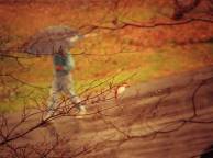 Девушка Осень ветка, дерево, дорога, капли, дождь, человек, зонт обои рабочий стол