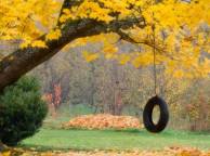 Девушка Осень колесо, листья обои рабочий стол