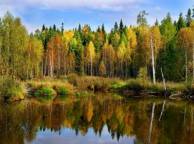 Девушка Осень пейзаж, лес, пруд обои рабочий стол