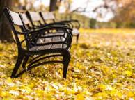 Девушка Осень парк, листва, скамейки обои рабочий стол