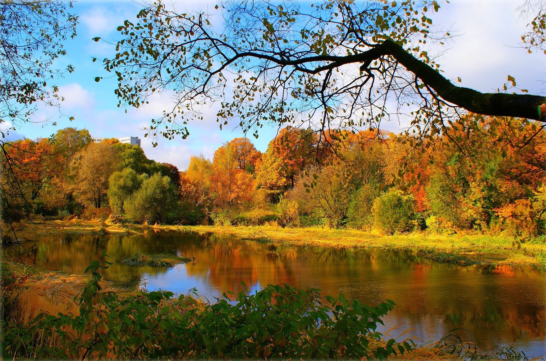 Природа, пейзаж Осень лес, река красивые обои рабочий стол