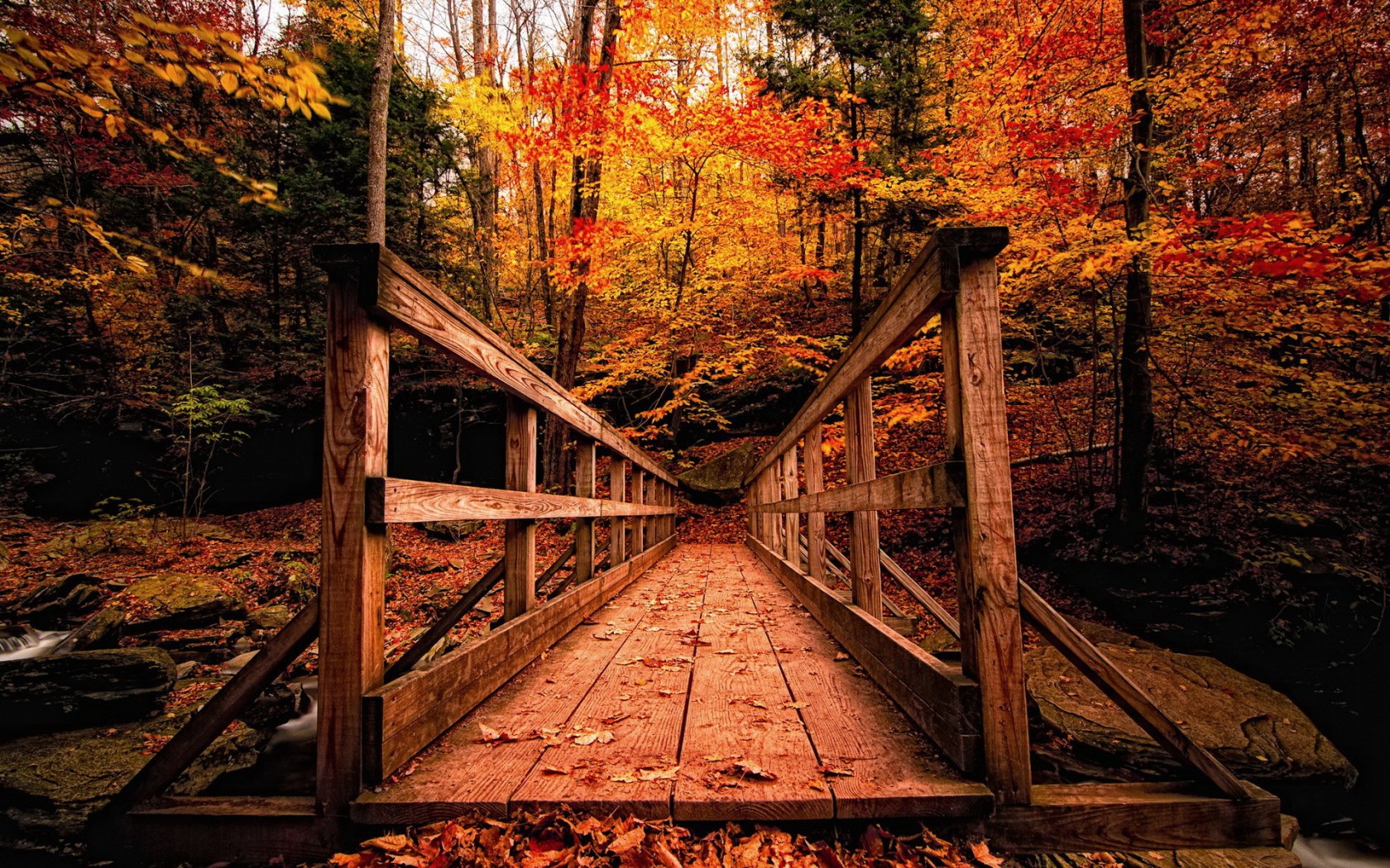 Природа, пейзаж Осень парк, мост красивые обои рабочий стол