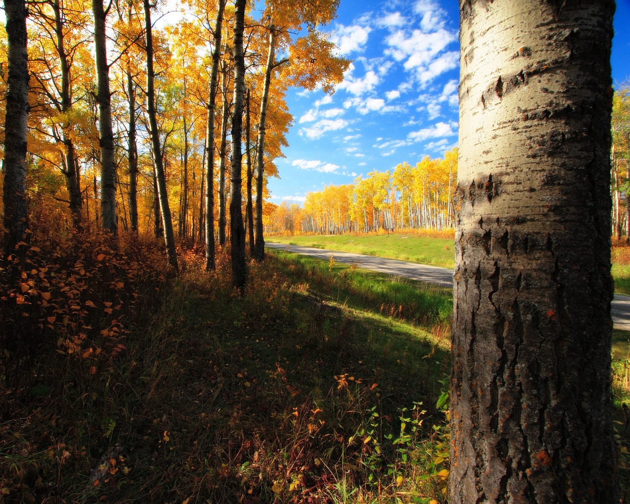 Природа, пейзаж Осень autumn, wallpaper 129 красивые обои рабочий стол