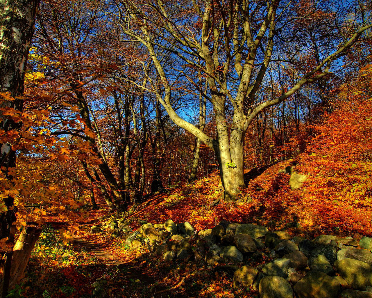 Природа, пейзаж Осень autumn, wallpaper 182 красивые обои рабочий стол