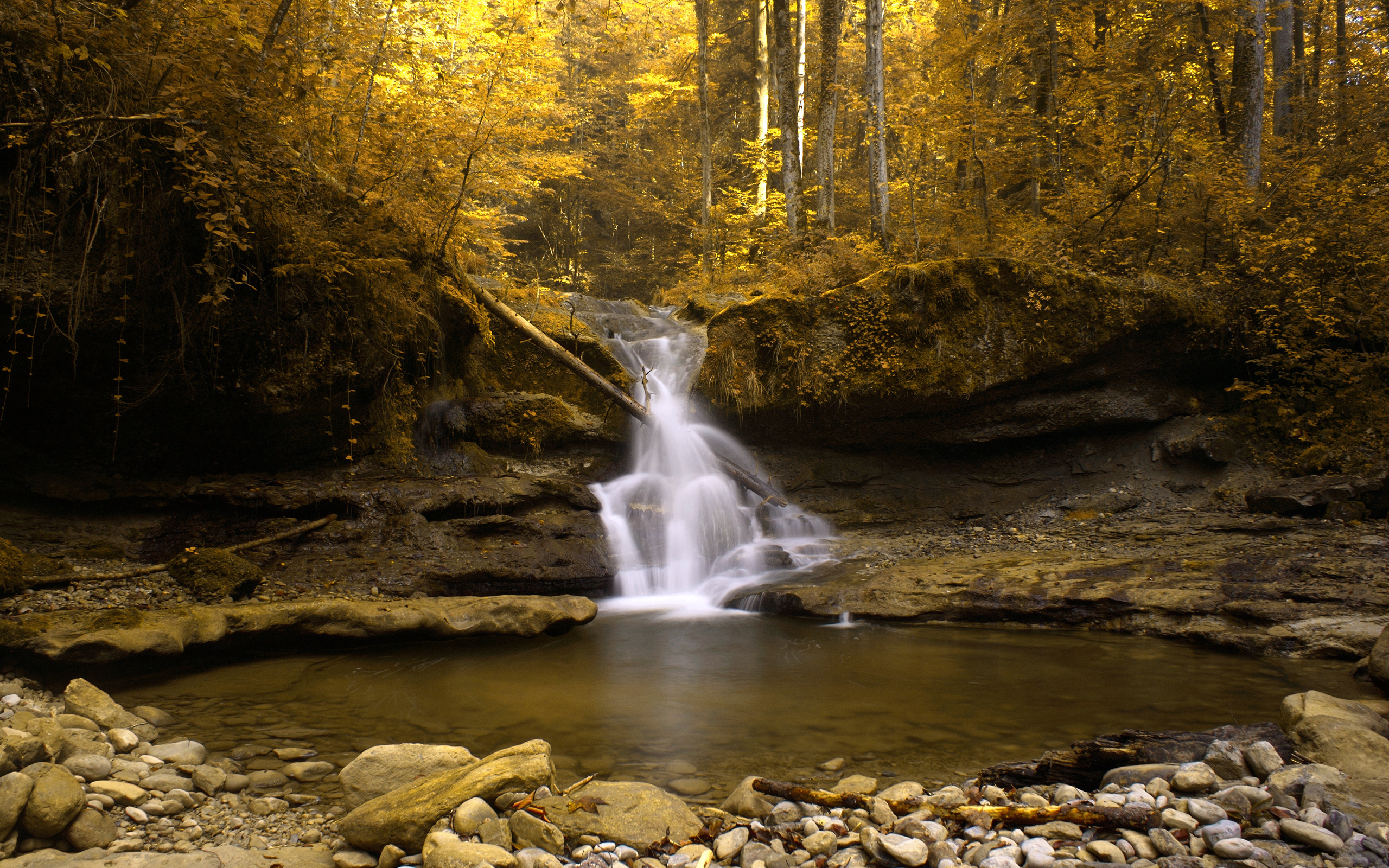 Природа, пейзаж Осень поток, швейцария, золото красивые обои рабочий стол
