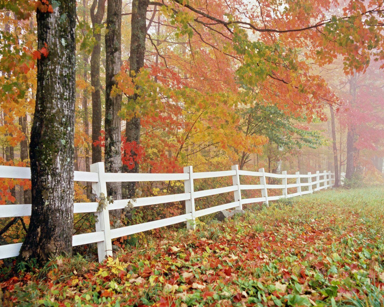 Природа, пейзаж Осень autumn, wallpaper 120 красивые обои рабочий стол