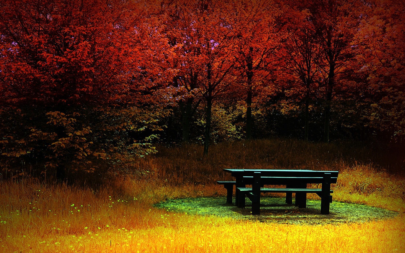Природа, пейзаж Осень лавочка, трава, деревья, цвет красивые обои рабочий стол