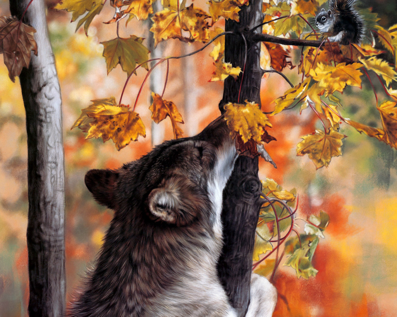 Природа, пейзаж Осень волк,  лес красивые обои рабочий стол