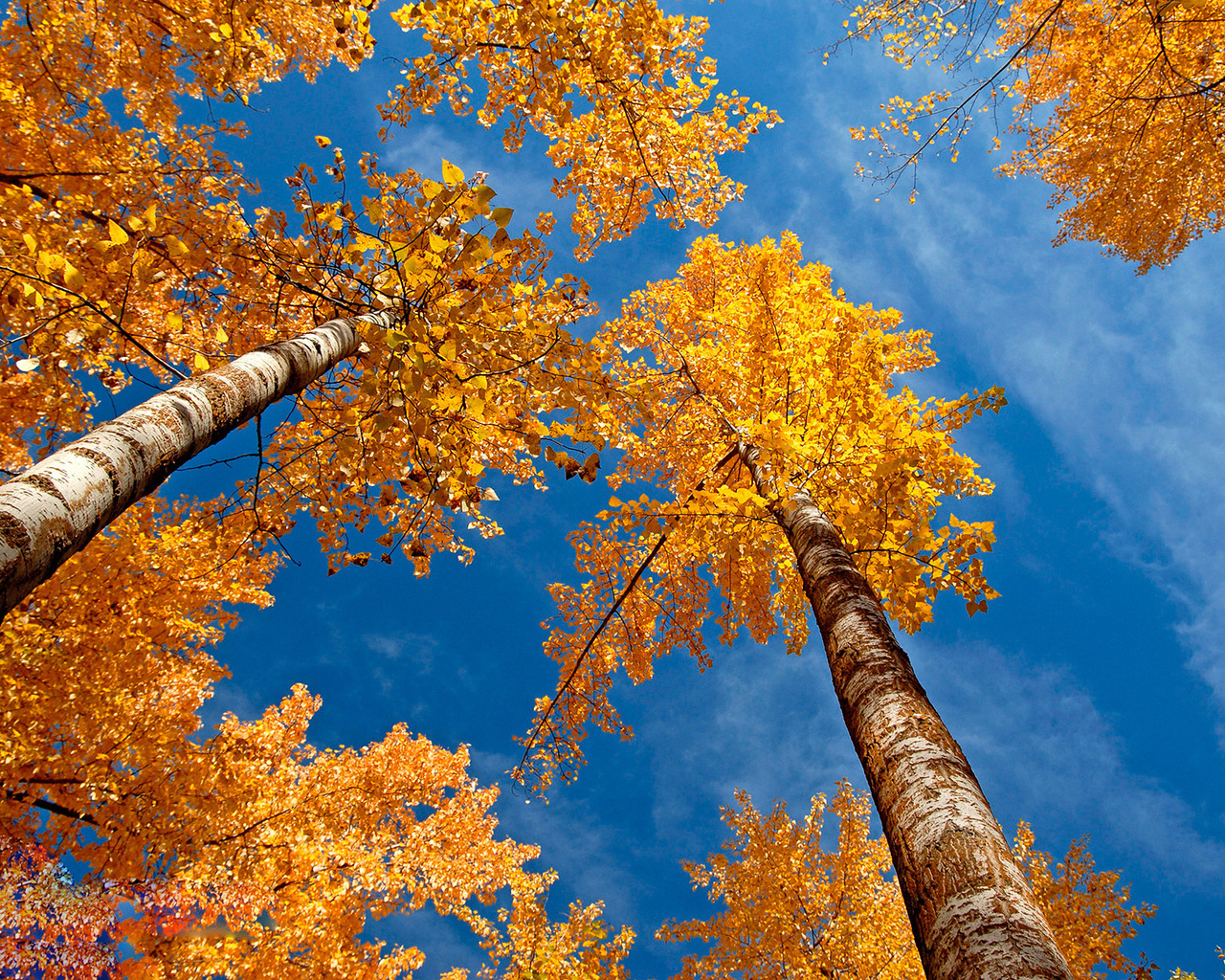 Природа, пейзаж Осень autumn, wallpaper 197 красивые обои рабочий стол