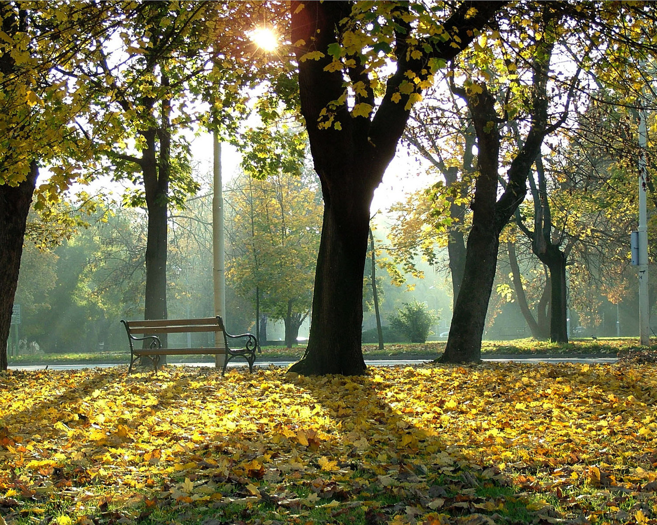 Природа, пейзаж Осень autumn, wallpaper 155 красивые обои рабочий стол