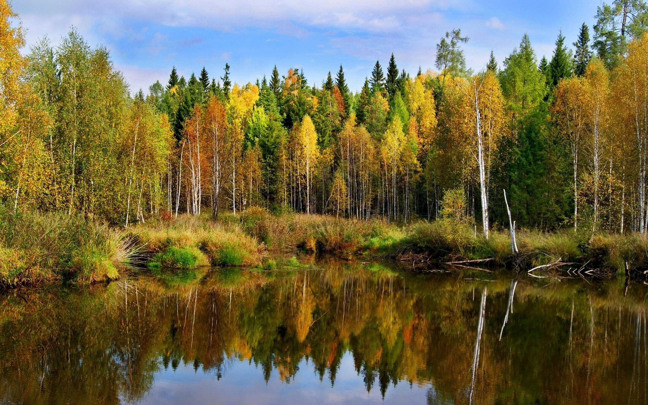 Природа, пейзаж Осень пейзаж, лес, пруд красивые обои рабочий стол