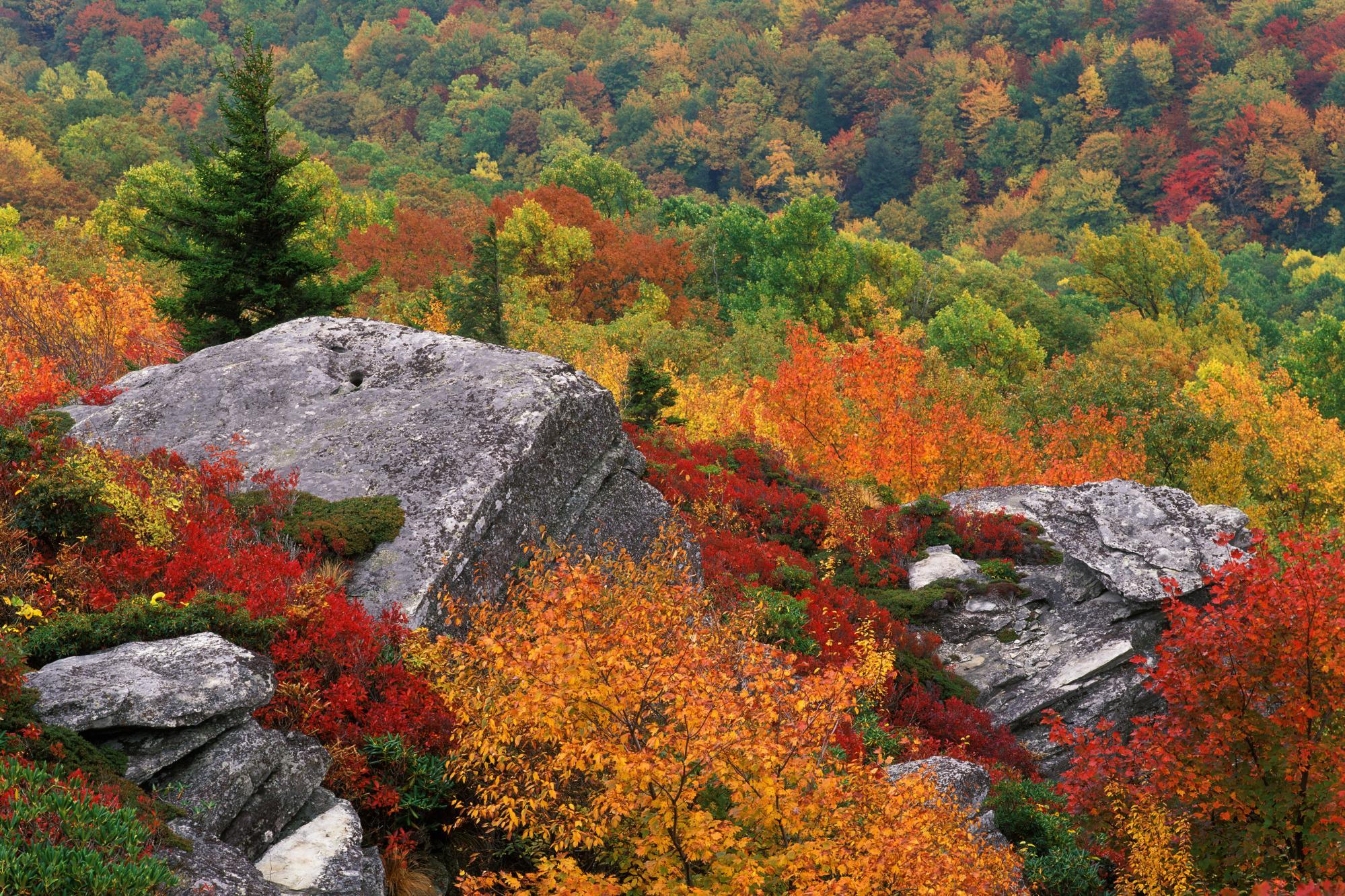 Природа, пейзаж Осень деревья, камень, небо красивые обои рабочий стол