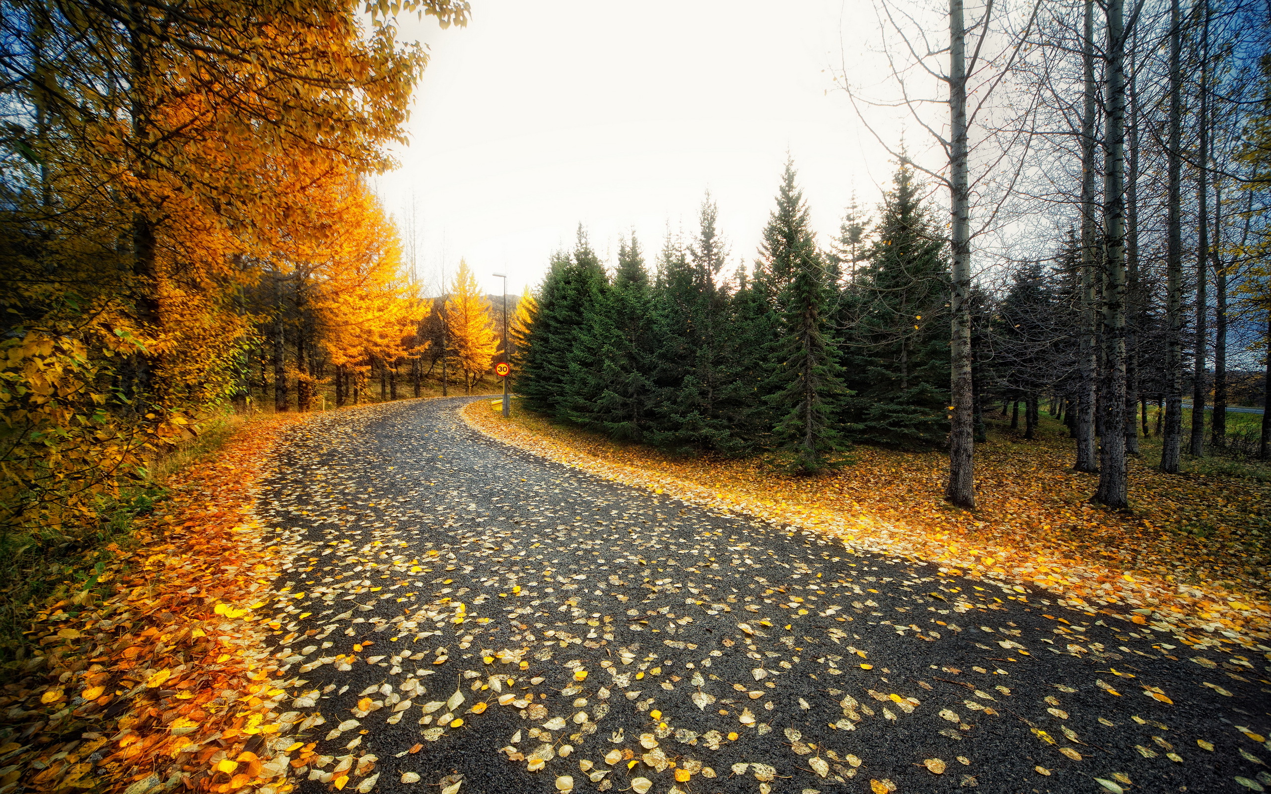 Природа, пейзаж Осень дорога, листья красивые обои рабочий стол