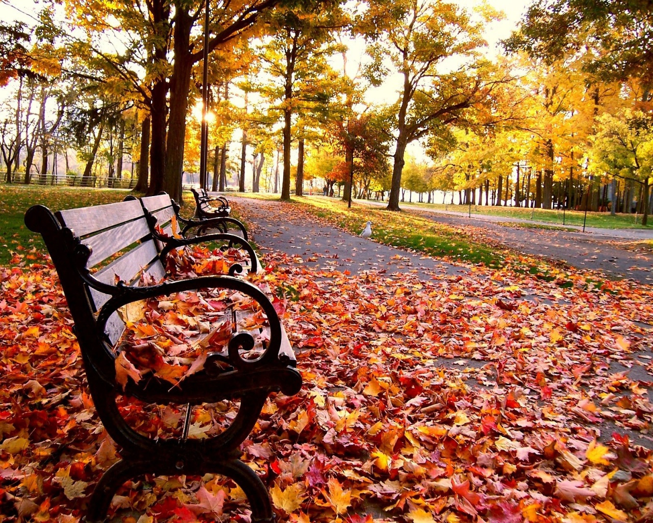 Природа, пейзаж Осень autumn, wallpaper 124 красивые обои рабочий стол