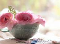 Девушка Розы розы, розовые, кружка, вышивка, цветы, салфетка обои рабочий стол