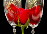 Девушка Розы роза, красная, бокал, цветок, бутон, лепестки обои рабочий стол