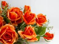 Девушка Розы розы, цветы, оранжевые, искусственные, лепестки обои рабочий стол