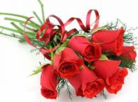 Девушка Розы розы, красные, букет, цветы, ленточка, белый фон обои рабочий стол