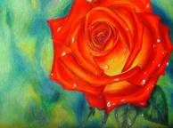 Девушка Розы роза, красная, алая, капли, рисунок обои рабочий стол