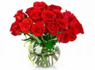 Девушка Розы розы, букет, ваза обои рабочий стол