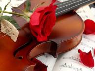 Девушка Розы скрипка, роза, красная, лепестки, цветок, ноты обои рабочий стол