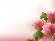 Девушка Розы розовые, цветы, букет, листья, лепестки обои рабочий стол