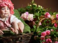 Девушка Розы дети, ребенок, в цветах, розы, корзина обои рабочий стол