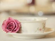 Девушка Розы чашка, роза обои рабочий стол