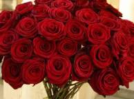 Девушка Розы розы, цветы, красные, букет обои рабочий стол