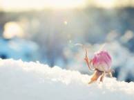 Девушка Розы цветок, роза, бутон, снег, солнечно, розовая обои рабочий стол
